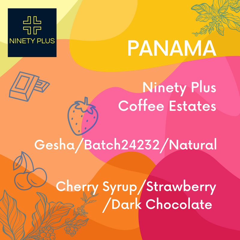 Panama Ninety Plus Gesha Natural