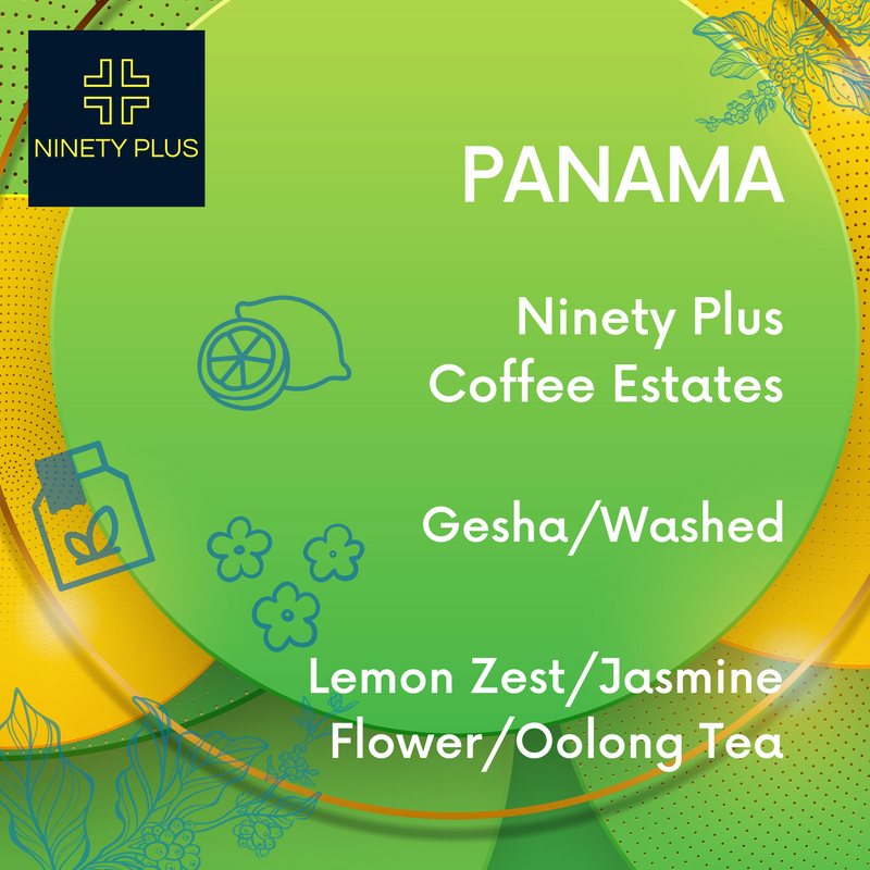 Panama Ninety Plus Gesha Washed