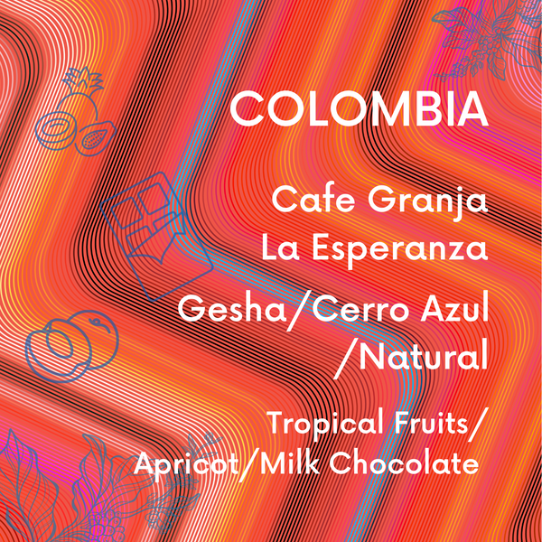 Colombia Finca La Esperanza Gesha Natural