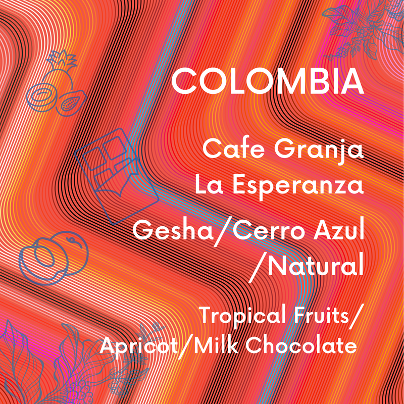 Colombia Finca La Esperanza Gesha Natural