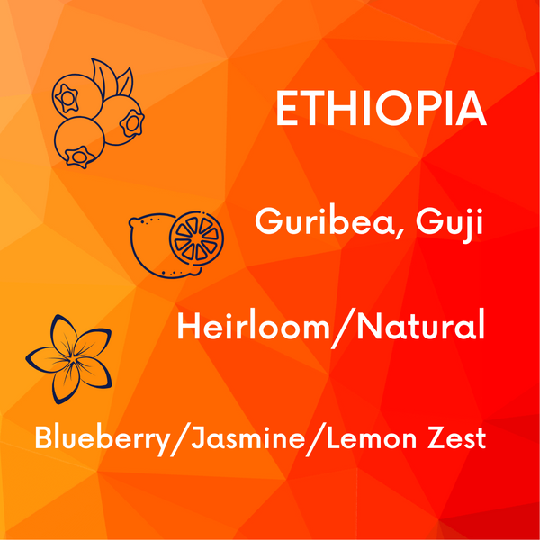 Ethiopia Guribea