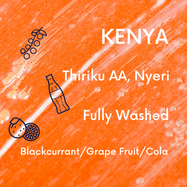 Kenya Thiriku AA